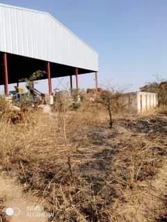 stands