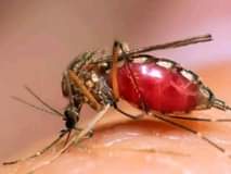 A picture of New mosquito killer machine zimewasili tena 0687369088