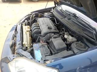 A picture of AMAZING PROMO PRICE Just 3 5m TOKS STANDARD GRADE A