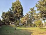 A picture of House for sale