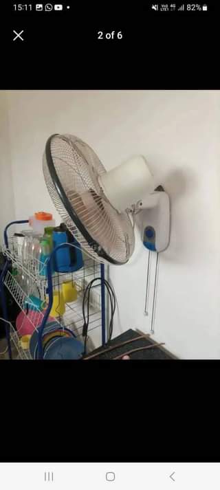 fans