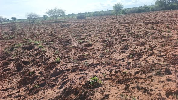 A picture of Plots for sale