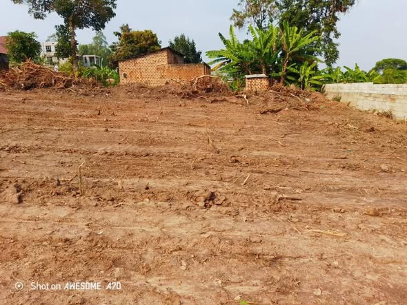 A picture of Land