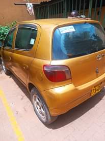 A picture of Vitz