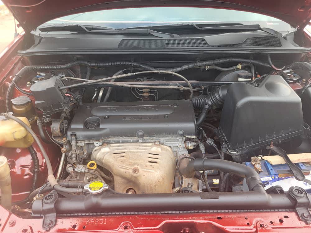 A picture of Registered Highlander 04 wit 4plugs in superb condition