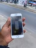 A picture of iphone 7 plain