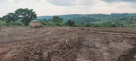 A picture of PLOTS FOR SALE LOCATED WAKISO NAMAYUMBA