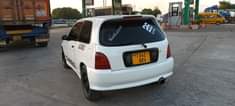 A picture of STARLET GLANZA