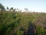 A picture of 0765291521 0679291521 SHAMBA HEKA 10 MWANZOMGUMU CHANIKA