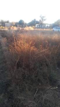 A picture of Stand for sale