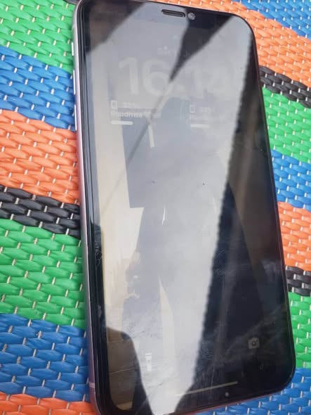 A picture of Iphone 11 plain