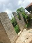 A picture of Boma