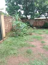 A picture of 