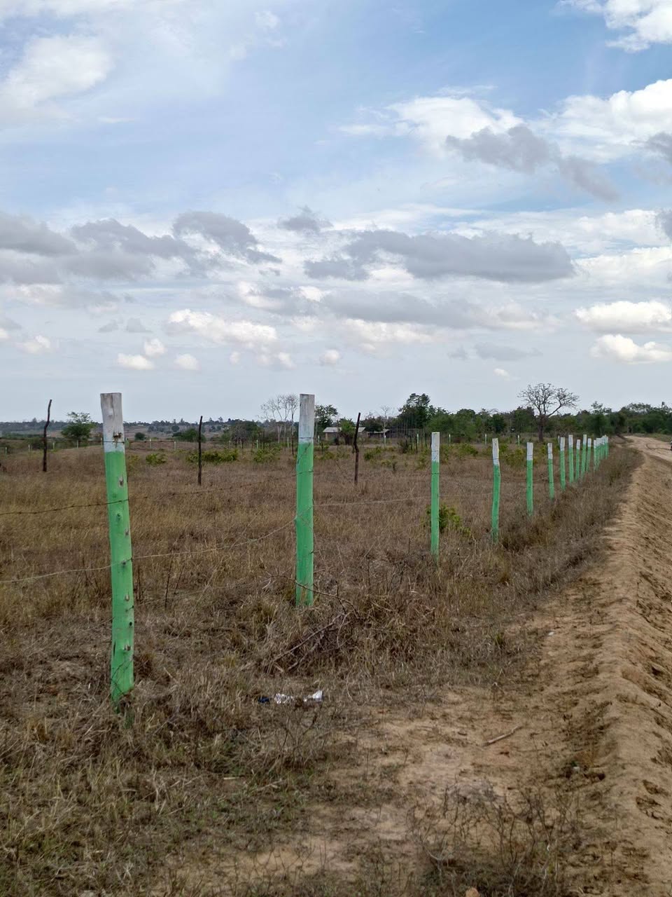 kilifi plots