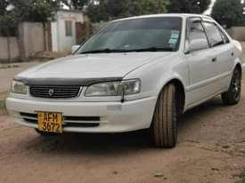 used toyota corolla