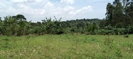 A picture of 50 100 plots at 13m Matugga Kiwebwa 1.5km off Tarmac
