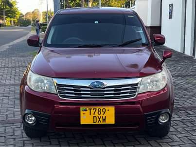 subaru forester