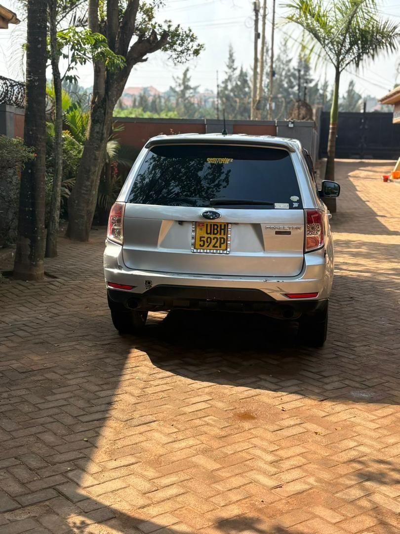 A picture of SUBARU FORESTER
