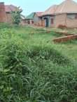 A picture of Plot for sale in kawanda 8 miles bombo road