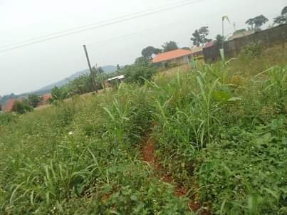 A picture of 100ft by 100ft that touches the tarmac of mukono katosi