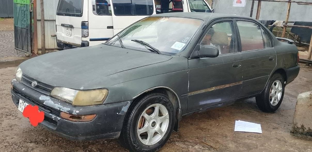 used toyota corolla