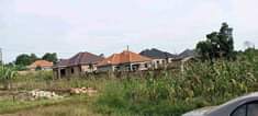 A picture of 50 100 feet plot with ready land title starts from