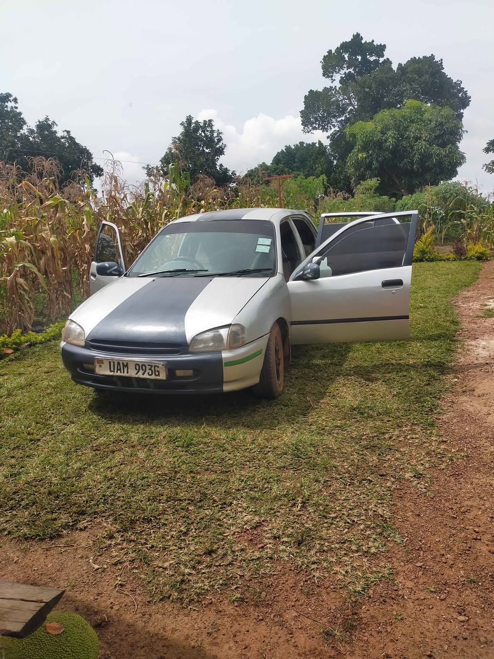 A picture of Starlet for sale