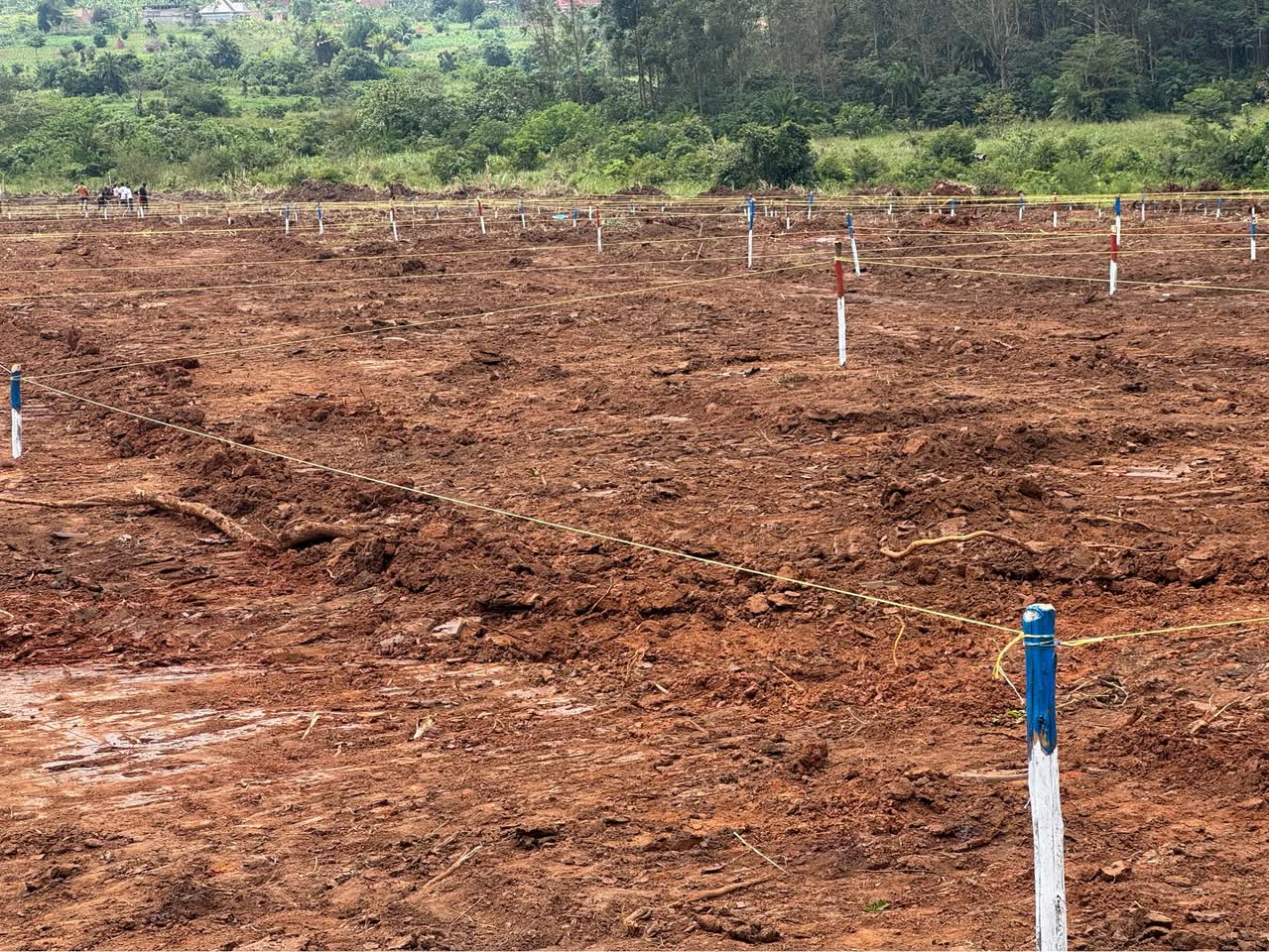 A picture of Kalagi estate 0702302042