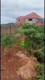 A picture of Land