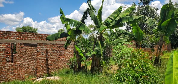 A picture of Plot FOR SALE Location Kiyunga Kibiribiri Mukono Plot Size 50ft