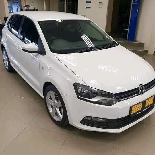 polo vivo