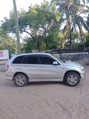 A picture of Rav4