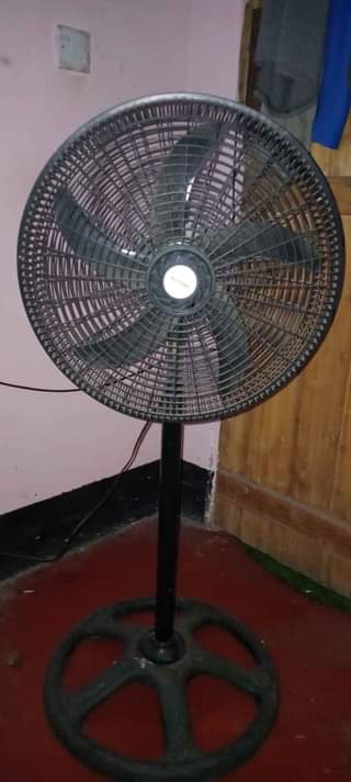 fans