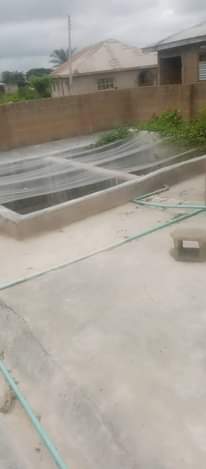 A picture of Fishpond for rent in ibadan 08149738594