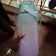 A picture of Motivational water bottles