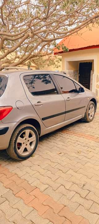 A picture of Peugeot 307