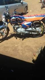 tvs hlx