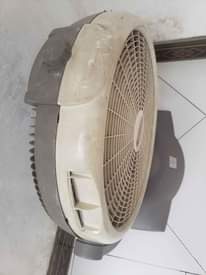 A picture of Feni 0713533662