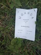 A picture of 30 fertile acres with ready tittle to take home all