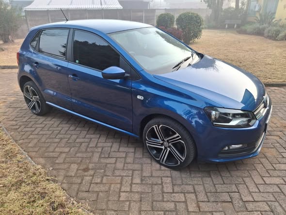polo vivo