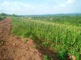 A picture of In Bujuuko after Buloba along Mityana road with ready land