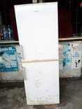 A picture of Nauza Friji