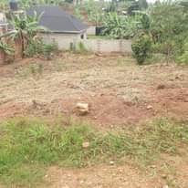 A picture of Land