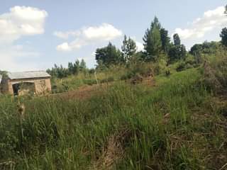 A picture of Quick sale 35m half an acre 50decimals with ready land
