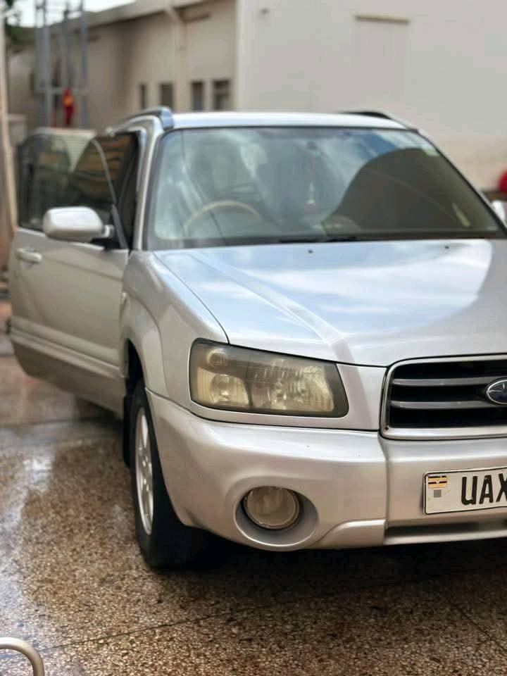 A picture of Subaru Forester
