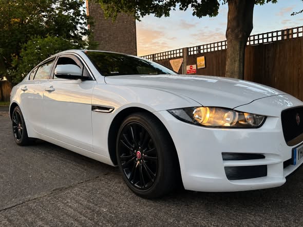 jaguar