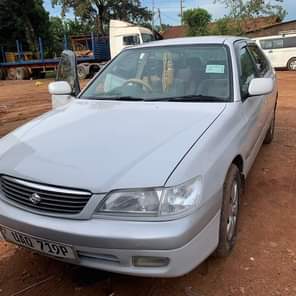 Cars256