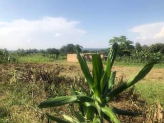 A picture of A PLOT OF LAND OF LAND FOR SALE AT 14m