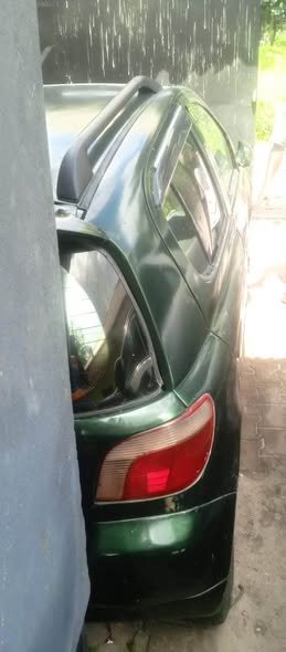 A picture of Vitz