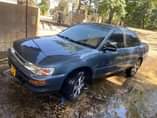 A picture of Nauza corrola k 100